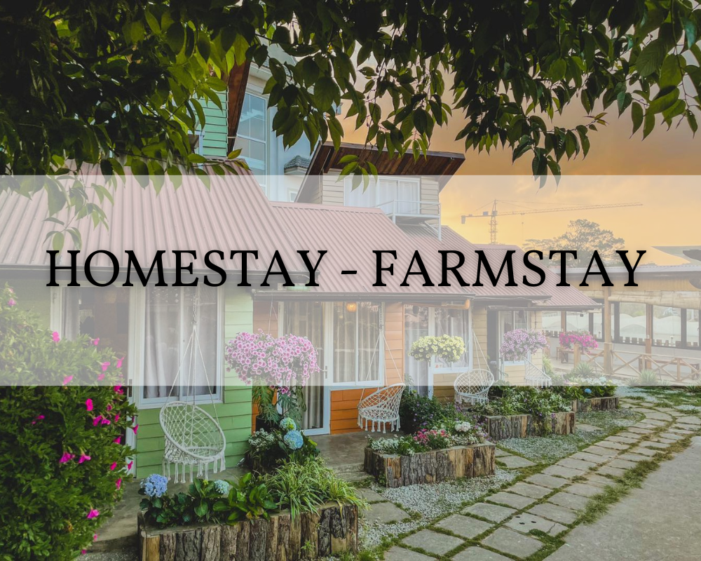Sự khác nhau giữa Homestay Và Farmstay ?